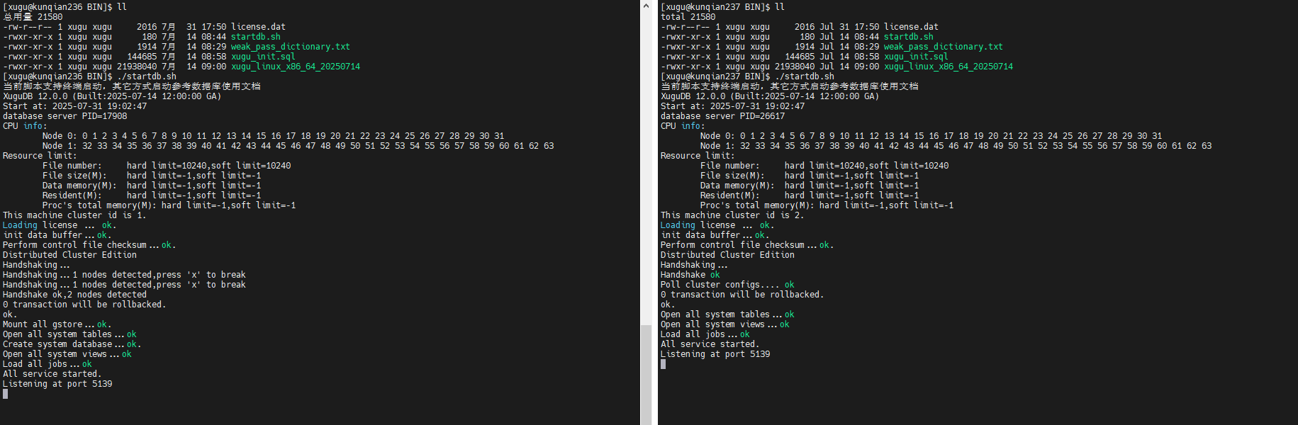 企业版集群启动