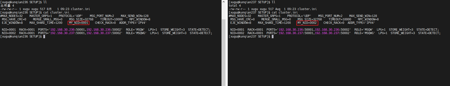 企业版集群cluster.ini配置
