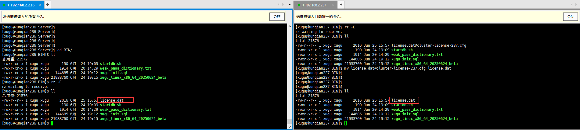 分布式部署导入license