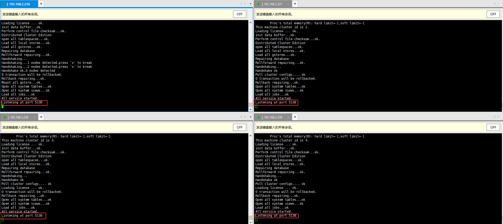 分布式集群启动