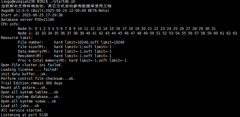 启动 XuguDB 标准版