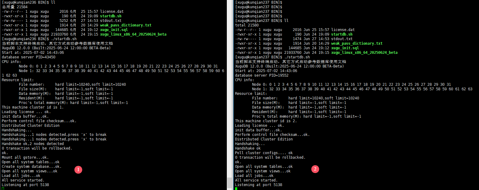 安全版集群启动