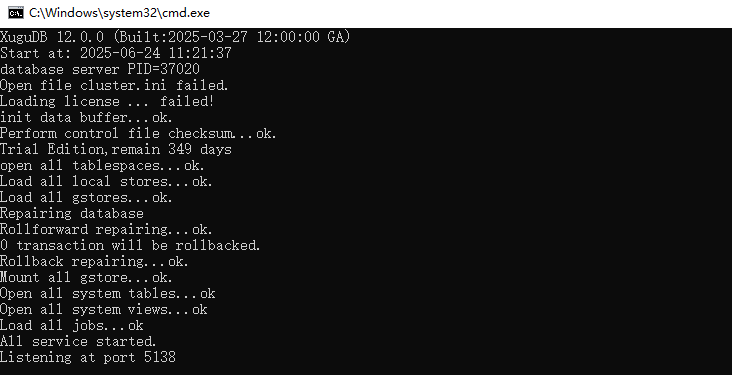Windows 数据库启动截图