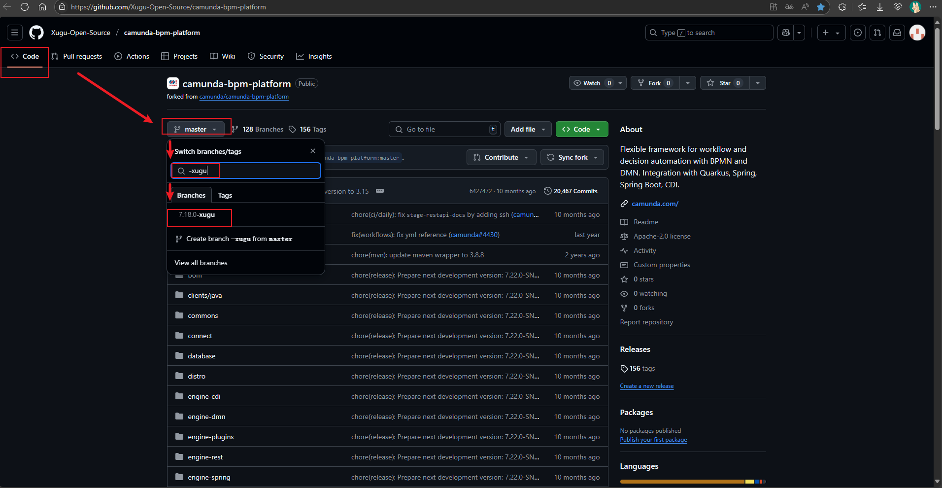 虚谷camunda-bpm-platform仓库分支选择