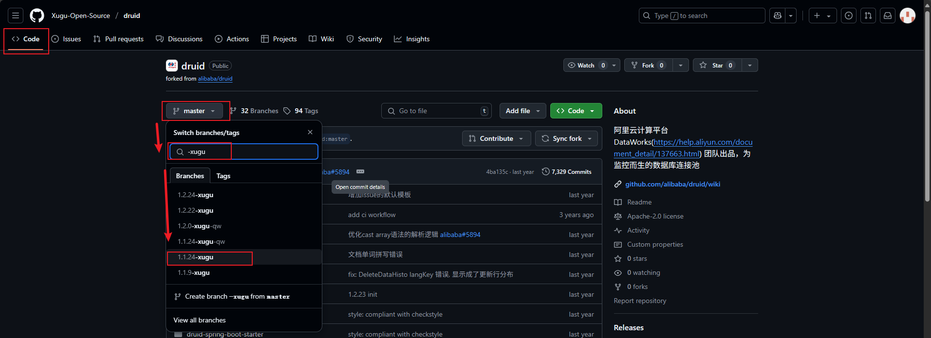 虚谷druid仓库分支选择